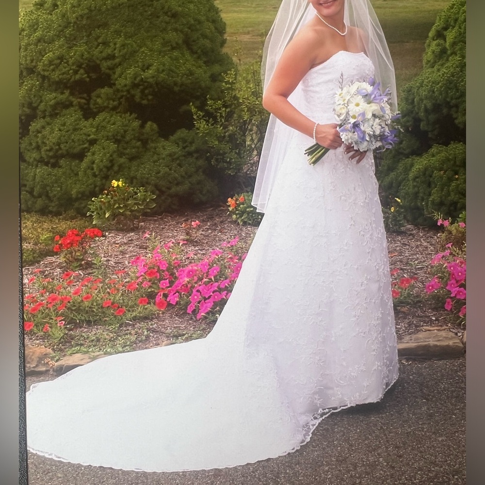 Davids Bridal Wedding Dress